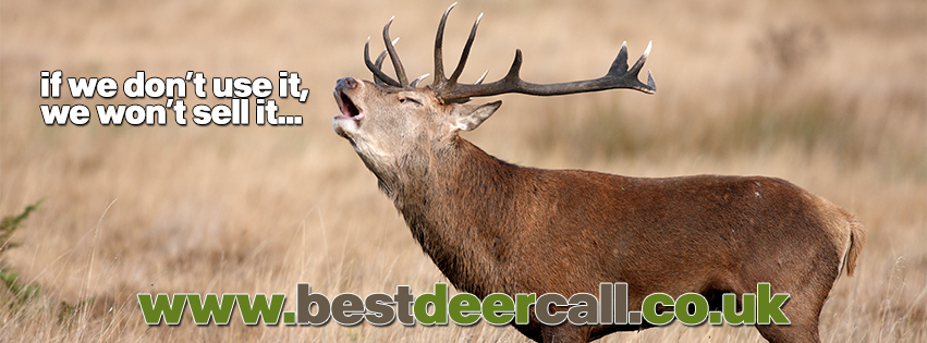 Best Deer Call