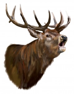 Game Call Hubertus For Red Stag 2 parts 