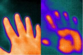 Thermal Signature