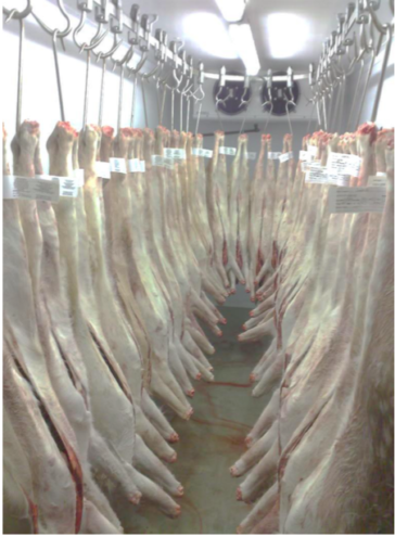 Selling Venison